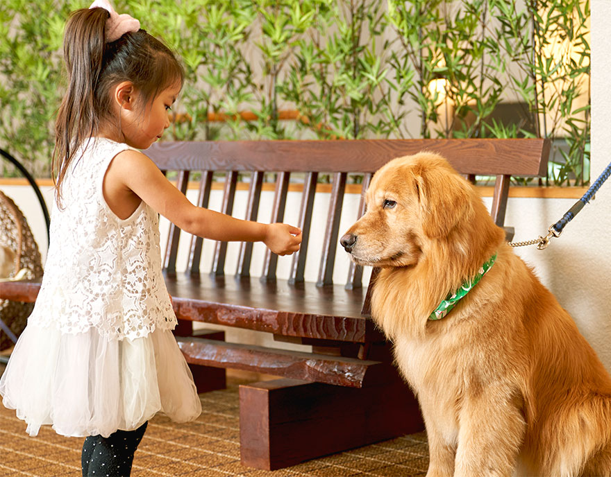 愛犬と楽しむ、伊豆高原の自然に囲まれたリゾートホテル ペット＆スパホテル伊豆ワン